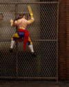 Street Fighter II - 6 Inch Vega Figure