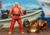 Street Fighter - Violent Ken Deluxe 6 Inch Figure