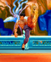 Street Fighter - Fei Long (P2) Deluxe 6 Inch Action Figure