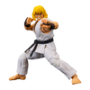 Street Fighter II - Ken (Player 2) 6 Inch Action Figure