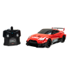 GT Racing - 2020 Nissan GT-R {R35} Liberty Walk 1:16 Scale Remote Control Car