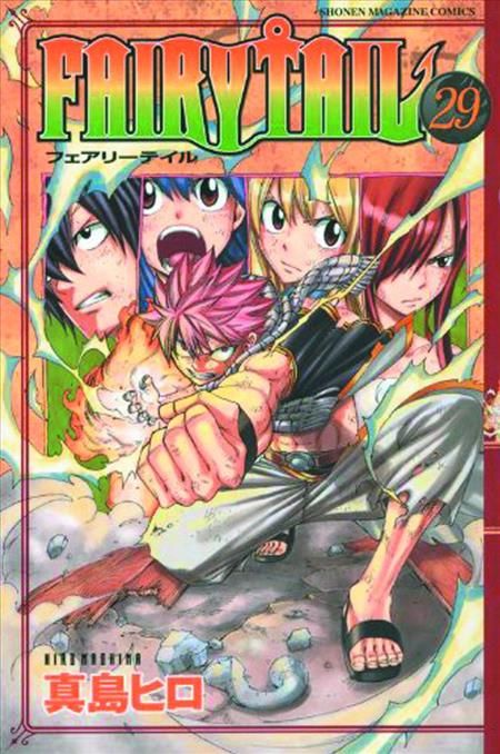 FAIRY TAIL GN VOL 29 (C: 1-1-1)