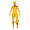 DC Comics - Cheetah Super Friends Retro 6 Inch Action Figure