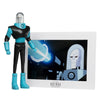 Batman: The New Batman Adventures - Mr. Freeze 6 Inch Figure