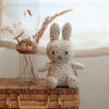 Miffy: Leaves - All Over Print Plush (Small)
