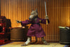 Teenage Mutant Ninja Turtles - Splinter & Baxter Stockman 7