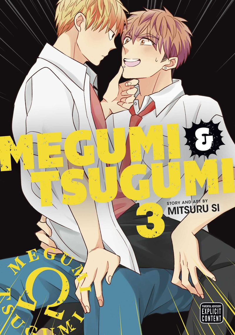 Megumi & Tsugumi - Vol. 3