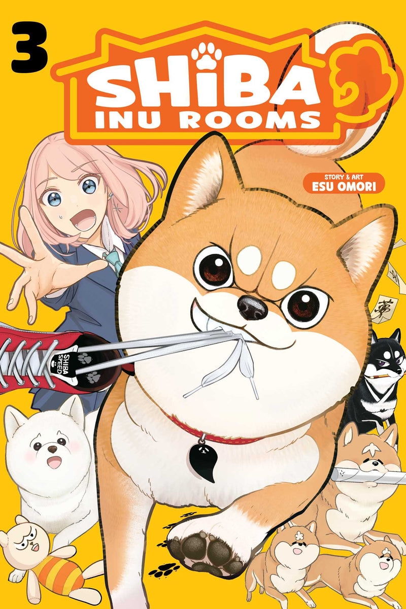 Shiba Inu Rooms - Vol. 3