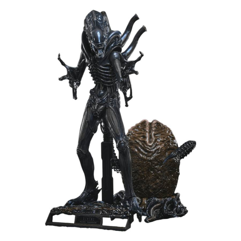 Aliens - Alien Warrior Deluxe 1/6 Scale Collectable Action Figure