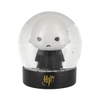 Harry Potter - Voldemort Snow Globe