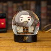 Harry Potter - Hagrid Snow Globe