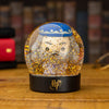 Harry Potter - Dumbledore Snow Globe