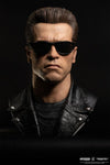 Terminator 2 : Judgement Day - T-800 Model 101 1/1 Scale Art Mask