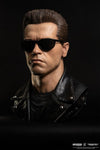 Terminator 2 : Judgement Day - T-800 Model 101 1/1 Scale Art Mask