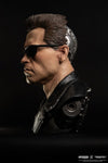 Terminator 2 : Judgement Day - T-800 Model 101 1/1 Scale Art Mask