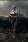 The Witcher 3: Wild Hunt - Ciri of Cintra 1/6 Scale Action Figure