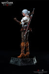 The Witcher 3: Wild Hunt - Ciri of Cintra 1/6 Scale Action Figure