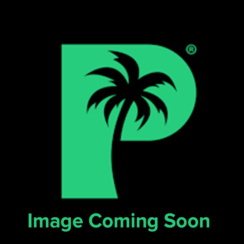 Palms Off: Artist Series Mega Capacity 12 Pocket Binder – Starve