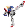 RG 1/144 Shining Gundam Model Kit