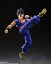 Dragon Ball Super - Son Gohan Super Hero S.H.Figuarts Action Figure