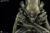 Alien - Internecivus Raptus Statue