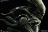 Alien - Internecivus Raptus Statue