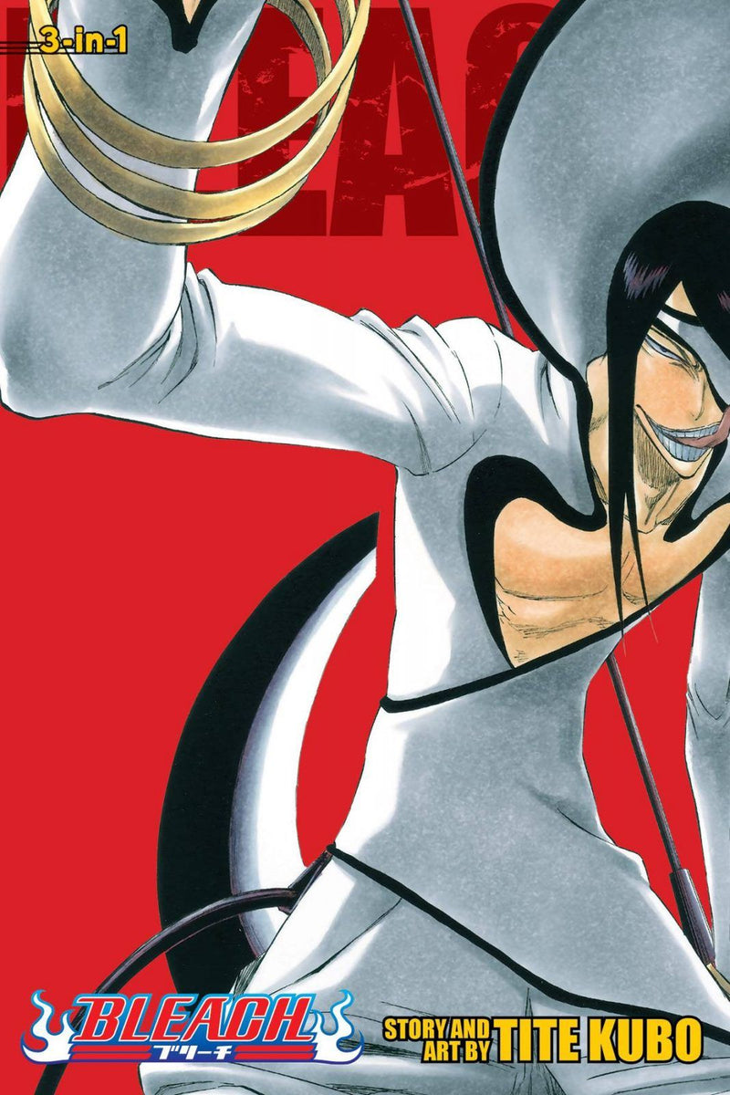 Bleach 3in1 Vol 11