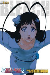 Bleach 3in1 Vol 22