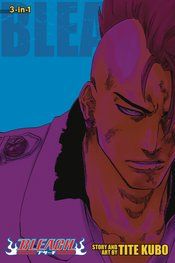 Bleach 3in1 Vol 23