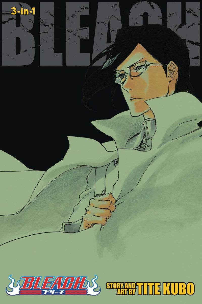 Bleach 3in1 Vol 24