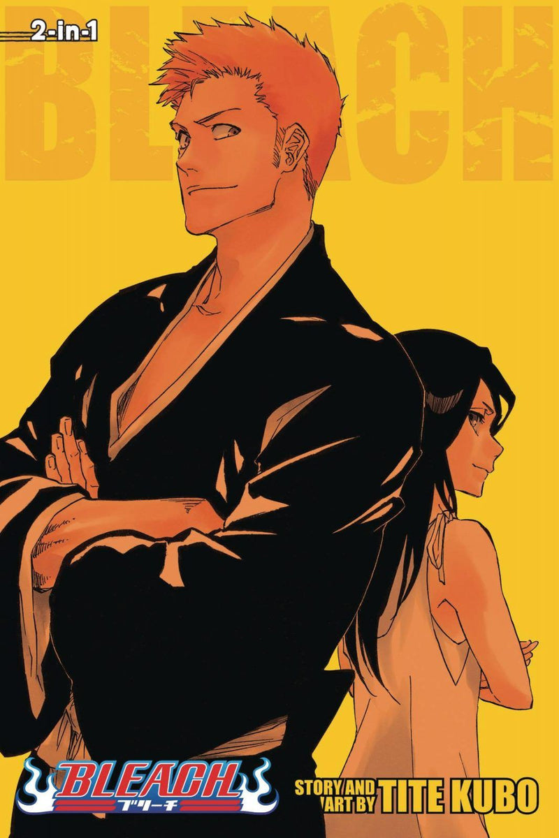 Bleach 3in1 Vol 25