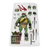 Teenage Mutant Ninja Turtles (Comics) - Raphael Comic Heroes 5 Inch BST AXN Figure