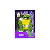 Teenage Mutant Ninja Turtles (Comics) - Slash GW 5 Inch BST AXN Figure
