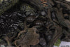 Myths &  Monsters - Gillman Maquette