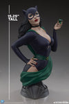 DC Comics - Catwoman 1/3 Scale Bust