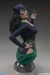 DC Comics - Catwoman 1/3 Scale Bust