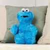 Sesame Street: Soft Toy - Cookie Monster