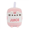 Pusheen: Pusheen Sips - Juice Box
