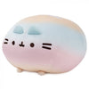 Pusheen: Plush - Round Rainbow Squisheeen