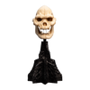 The Lord of the Rings - Skull of Lurtz Miniature Skull