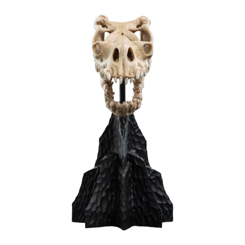 The Lord of the Rings - Skull of a Fell Beast Miniature Skull