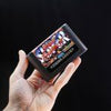 Console Heroes: Street Fighter II - Collectible Diorama