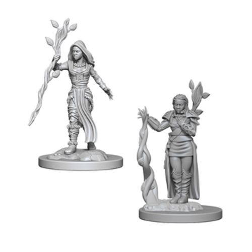 Dungeons and Dragons Nolzur's Marvelous Miniatures Human Female Druid