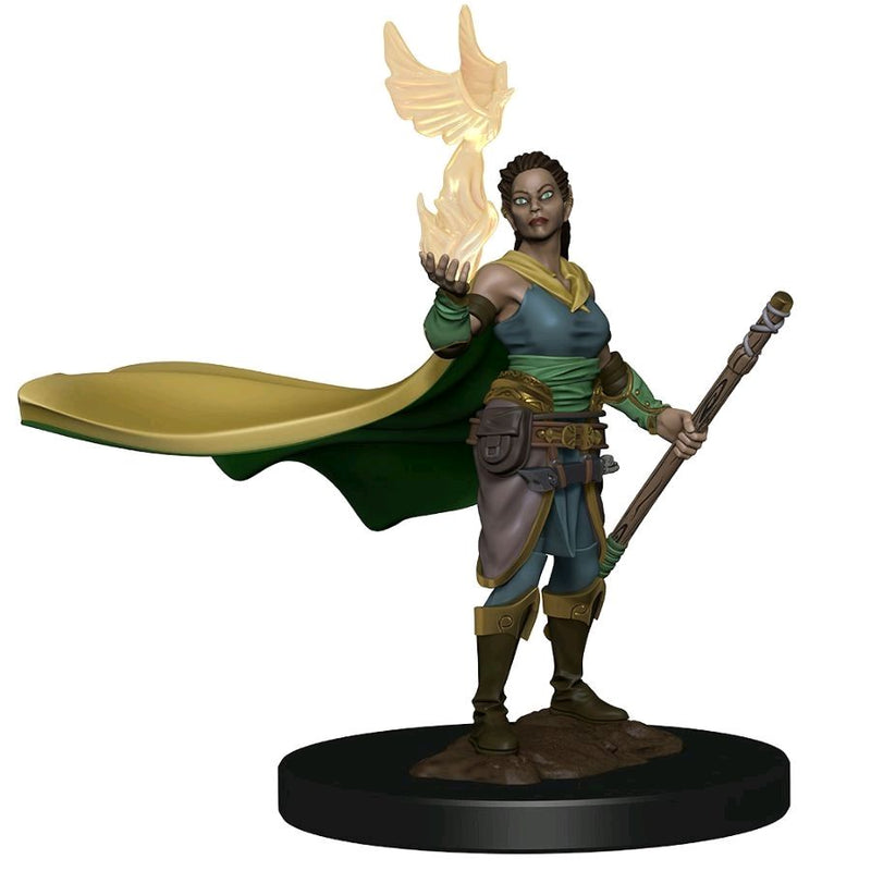 D&D - Premium Elf Female Druid Miniature