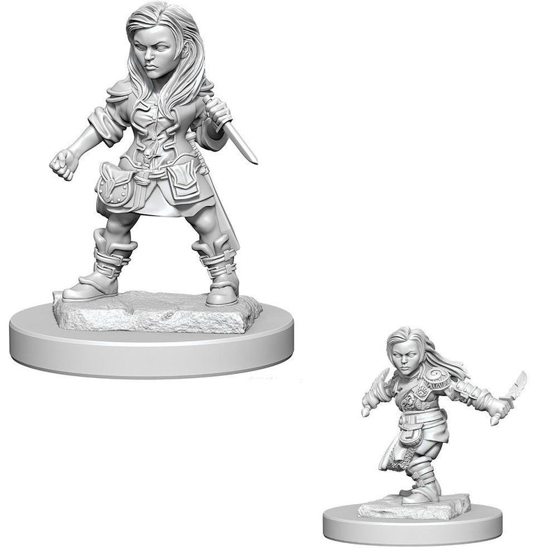 Dungeons & Dragons Nolzurs Marvelous Halfling Female Rogue