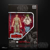 Star Wars: The Black Series - Luke Skywalker and Yoda (Jedi Training) Figure