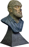 Universal Monsters - Wolfman Mini Bust