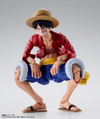 One Piece - S.H.Figuarts Monkey D. Luffy Two Years Later Action Figure