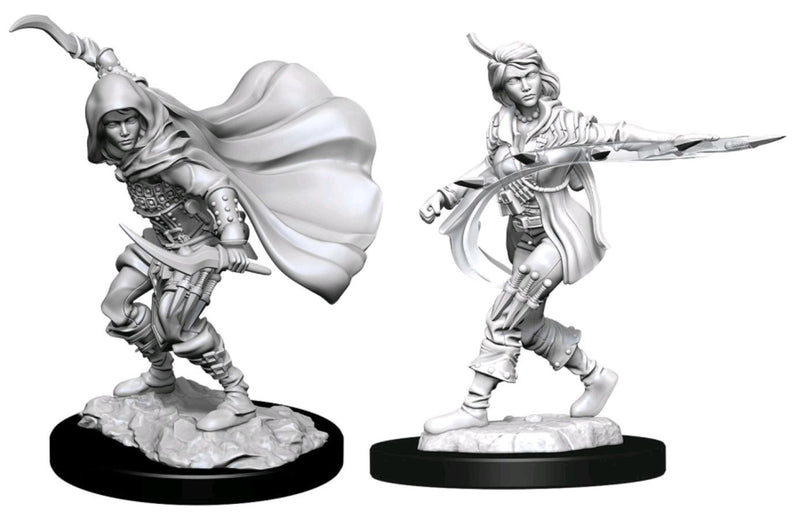 Pathfinder - Deep Cuts Unpainted Miniatures: Human Rogue Female