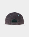Difuzed Assassins Creed Valhalla - Logo Snapback